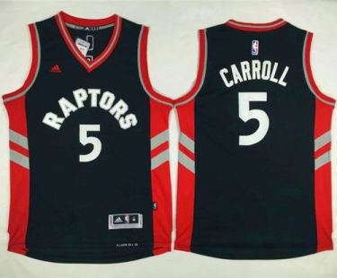 Toronto Raptors #5 DeMarre Carroll Black Stitched NBA Jersey