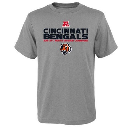 Youth Cincinnati Bengals Heather Gray 2015 AFC North Division Champions Next Level T-Shirt