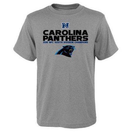 Youth Carolina Panthers Heather Gray 2015 NFC South Division Champions Next Level T-Shirt