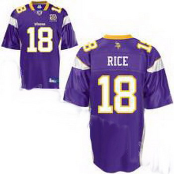 Cheap Minnesota Vikings Sidney Rice 18 Purple Jersey 50th Anniversary Patch For Sale