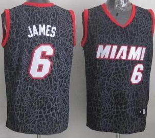 Miami Heat 6 LeBron James Black Leopard Grain NBA Jersey Cheap