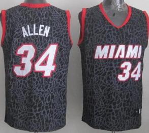 Miami Heat 34 Ray Allen Black Leopard Grain NBA Jersey Cheap