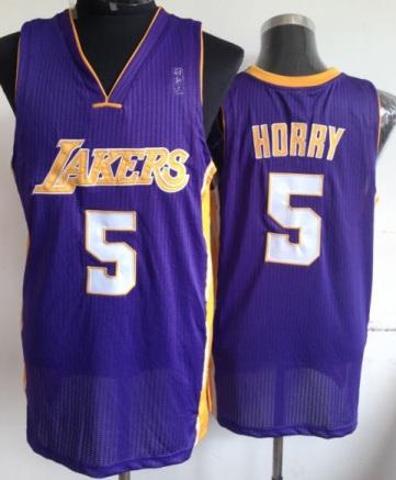 Los Angeles Lakers 5 Robert Horry Purple Revolution 30 NBA Jerseys