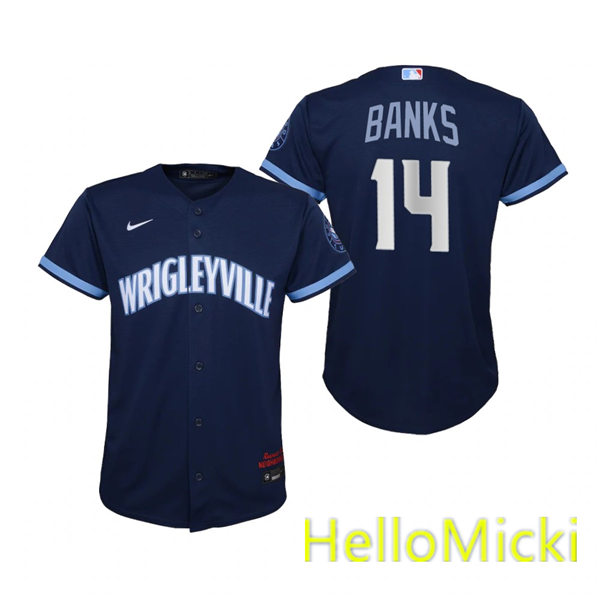 Youth Chicago Cubs #14 Ernie Banks Nike Navy 2021 City Connect Jersey