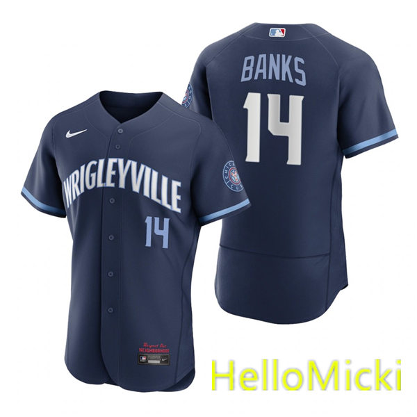 Mens Chicago Cubs #14 Ernie Banks Nike Navy 2021 City Connect Authentic Jersey